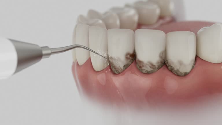 Reliable Dental contractor in Farmington, IL by Dentist Open Now